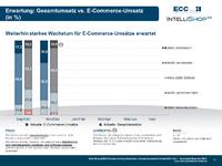 B2B-Unternehmen mit Nachholbedarf bei der Einbindung von Vertriebspartnern in die E-Commerce Strategie B2B-Unternehmen mit Nachholbedarf bei der Einbindung von Vertriebspartnern in die E-Commerce Strategie
