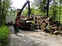 Collaboration Plattform IFIS Uno der Schweizer Holz- und Forstwirtschaft erhält neue Infrastruktur