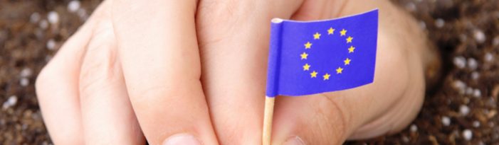EU 2020 – Mittelstand dir für Europa: Mit dem Master of Science in European Innovation and Technology Management