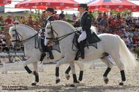 Viele Neuheiten auf der PFERD Wels 2014