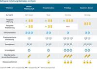 Welche Methoden gibt es, um Software einzuführen?