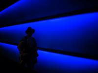 Blue-Domain: Eine Traum-Domain