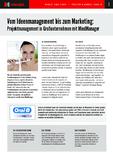 Projektmanagement in Großunternehmen mit MindManager