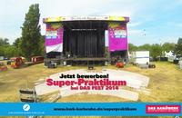 Super-Praktikum bei DAS FEST 2014