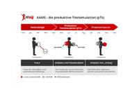Xiting AG veröffentlicht Update für Xiting Authorizations Management Suite (XAMS)