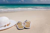 Reise-Domains reisen an…..
