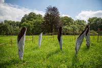Ausstellung im Edelhof Ricklingen:  „Kunst-Beete: Zwischen Heilkraut und Wildkraut“