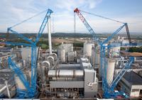 Mit terna und Infor M3 bestens aufgehoben: die Kranvermietung der Felbermayr Holding