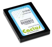 Neue 2.5?-SATA-Flash-Karte von Cactus Technologies trotzt Extremsituationen