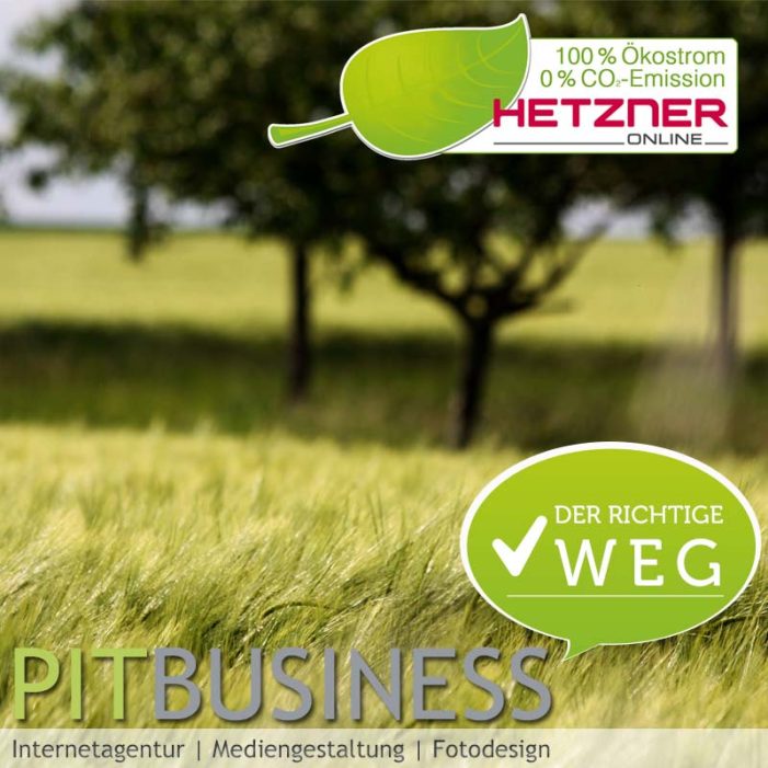 Professionell IT Business goes Green