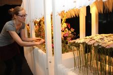 Kreative Leidenschaft: Ausstellung der Floristmeisterinnen 2014