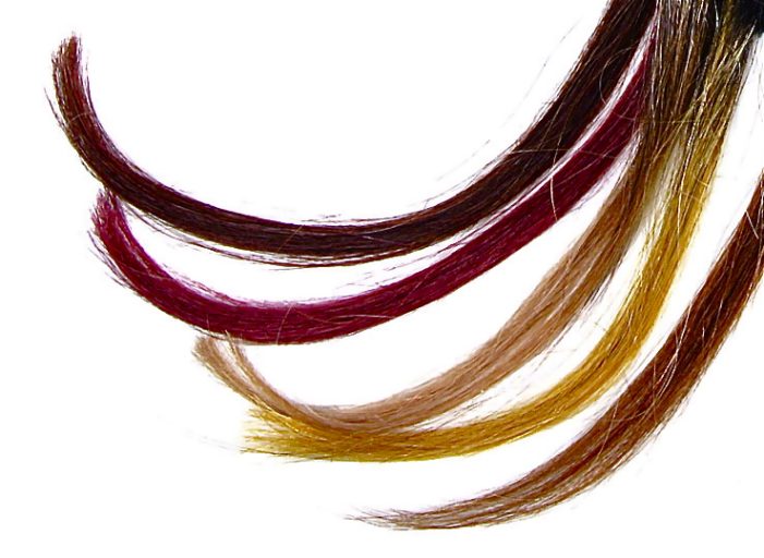 Haaranalyse als Drogencheck für Privat, Betriebe und Sorgerecht Haaranalyse als Drogencheck für Privat, Betriebe und Sorgerecht