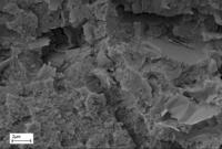 Workshop Nanostrukturierte Kompositmaterialien? Programm jetzt online