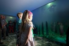 500 000 ster Besucher erwartet