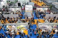 Karriereperspektiven auf dem jobvector career day in Du?sseldorf: Das branchenspezifische Recruiting Event fu?r MINT-Fachkräfte