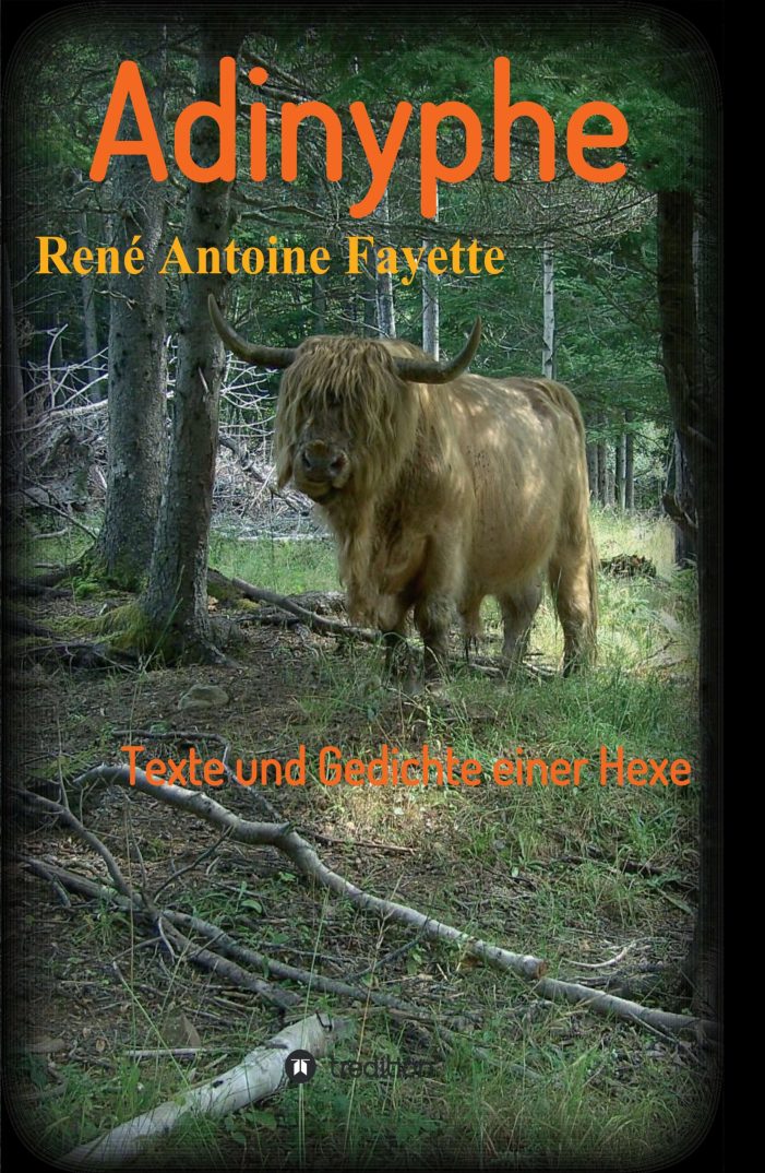 Adinyphe ? Fayettes neues Buch setzt sich mit der Verfolgung der Frau auseinander Adinyphe ? Fayettes neues Buch setzt sich mit der Verfolgung der Frau auseinander