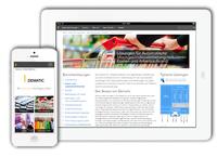 Website von Dematic im neuen Look and Feel