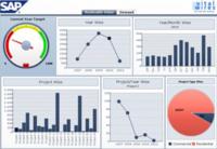Im Fokus: Reporting Tools – aktueller Kurzvergleich zwischen SAP BO und Arcplan