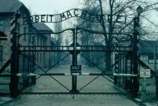 Auschwitz: 70 Jahre nach der Befreiung