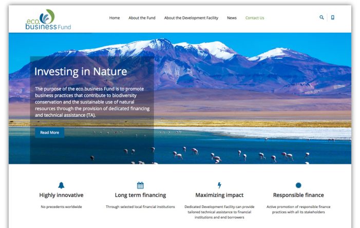 Ökologisch handeln, nachhaltig fördern: Website des eco.business Funds erfolgreich gelauncht