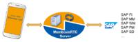 SAP-Business-App-Entwicklung? The Easy Way