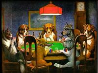 „Pokerfaces“ registrieren  Poker-Domains