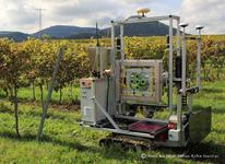 Erster Freilandroboter für Rebenzüchtung von Julius Kühn-Institut und Hochschule Geisenheim entwickelt