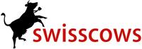 Schweizer Industrie setzt auf die Suchmaschine Swisscows