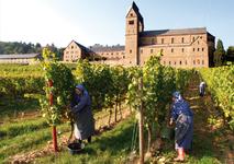 Religiöse Kultur in Frankfurt Rhein-Main