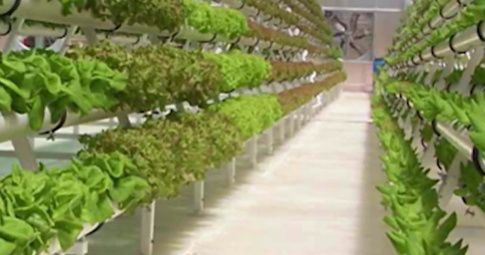 Eco Energy Tech Asia Ltd. ? Die Zukunft der Landwirtschaft