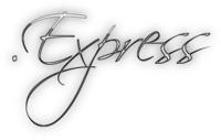 Express-Domains: Geschwindigkeit ist unser Markenzeichen