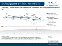 B2B-Onlinehändler beobachten Marktplätze noch mit Skepsis