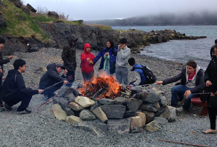 Whale Watching in Kanada