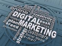 Der Digital Marketing Manager Der Digital Marketing Manager