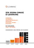 LEAN + SIX SIGMA Schulungen endlich als E-Learning