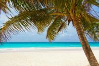 Warum Sie mit neuen Reise-Domains bei Google ein besseres Ranking bekommen…