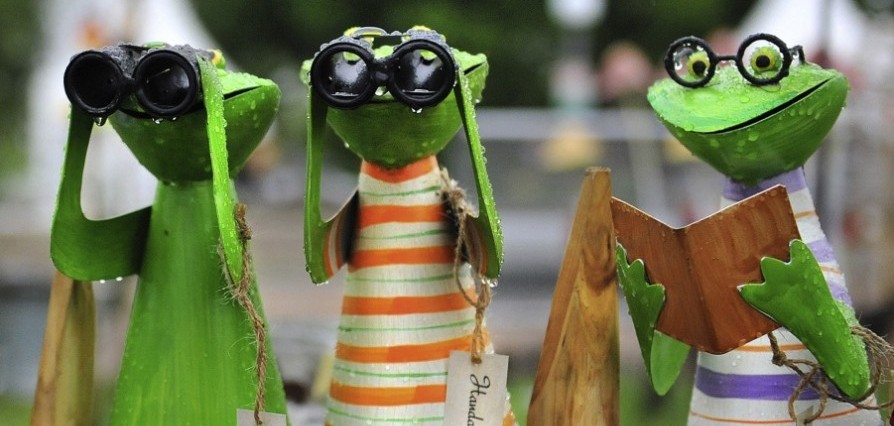Garten und Genuss 2015, Messe in Bad Rappenau: Wo der Daumen grünt