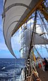 Praxis an Bord der „Alexander von Humboldt II“, Theorie an der Hochschule Bremen
