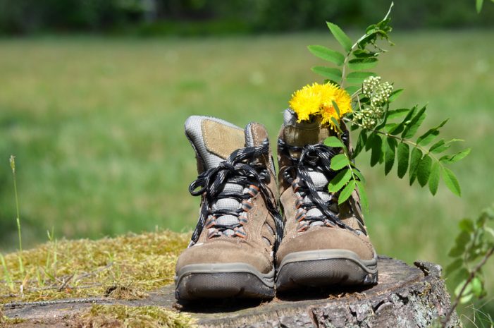Charity-Aktionswoche (12.-16.10.2015): Einfach raus gehen…die erstaunliche Wirkung des Bewegenden Coachings Charity-Aktionswoche (12.-16.10.2015): Einfach raus gehen…die erstaunliche Wirkung des Bewegenden Coachings
