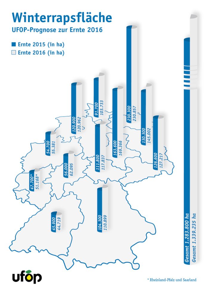 UFOP-Studie: Winterrapsanbau zur Ernte 2016 steigt auf 1,34 Millionen Hektar