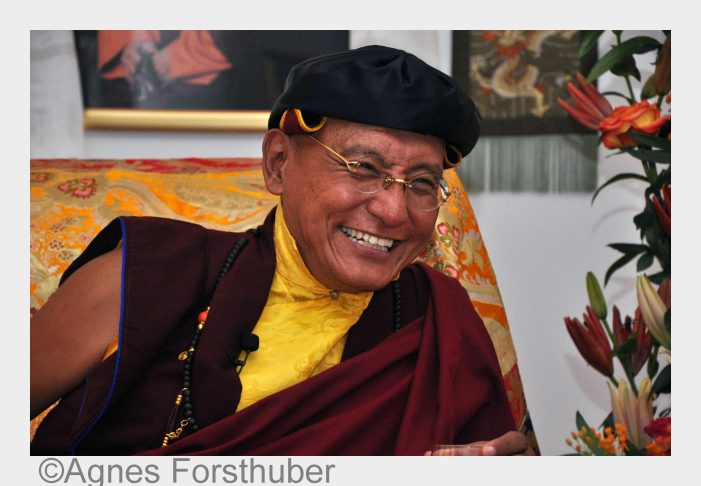 Aktuelle Stellungnahme des 12. Gyalwang Drukpa zur Flüchtlingssituation