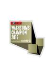 YOUR SL, Spezialist für Digitale Transformationsberatung aus Berlin, unter den TOP 500 Wachstumschampions 2016