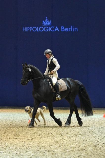 HIPPOLOGICA Berlin 2015: Mögen die (Reit)Spiele beginnen! (FOTO)