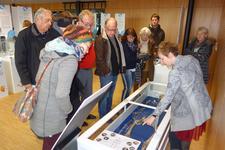 Archäologie belebt Uhldingen zur Winterszeit
