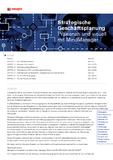 Strategische Geschäftsplanung mit MindManager