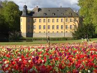 Schlossfrühling in Schloss Dyck lockt mit Vielfalt und Exklusivität