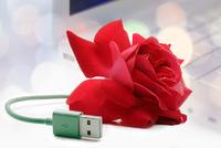 Cyberkriminelle haben Valentinstag im Visier