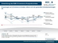 Online-Marktplätze im B2B E-Commerce