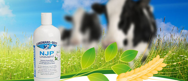 Umsatzeinbußen durch Mastitis