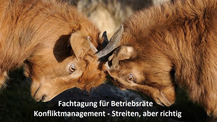 Streitest du noch oder argumentierst du schon?